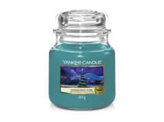 Yankee Candle VONNÁ SVÍČKA YANKEE CANDLE WINTER NIGHTS STARS CLASSIC STŘEDNÍ