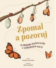 Svojtka & Co. Zpomal a pozoruj