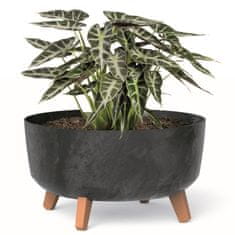 botle Bonsai miska Strom Mini zahradní květináč na nožičkách Květináč D 38 cm Antracitové plastové květináče s vložkou Květináče betonového vzhledu