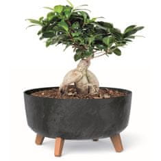 botle Bonsai miska Strom Mini zahradní květináč na nožičkách Květináč D 38 cm Antracitové plastové květináče s vložkou Květináče betonového vzhledu