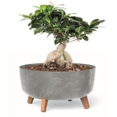 botle Bonsai miska strom mini zahradní květináč na nožičkách květináč D 38 cm světle šedé plastové květináče s vložkou betonový vzhled květináče