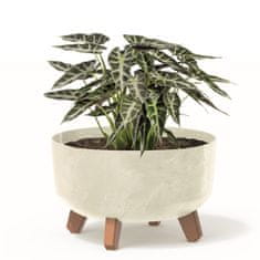 botle Bonsai miska Strom Mini zahradní květináč na nožičkách Květináč D 28,5 cm Krémové plastové květináče s vložkou Květináče betonového vzhledu