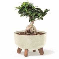 botle Bonsai miska strom mini zahradní květináč na nožičkách květináč D 23,5 cm krémové plastové květináče s vložkou betonový vzhled cachepots kaktusy