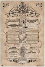 CurePink Plakát Harry Potter: Hogwarts School List (61 x 91,5 cm 150g)