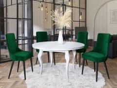 Veneti Čalouněná jídelní židle BILAR - černá / zelená