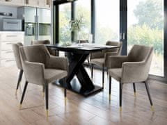 Veneti Čalouněná jídelní židle HAUMON - černá / zlatá / tmavá šedá