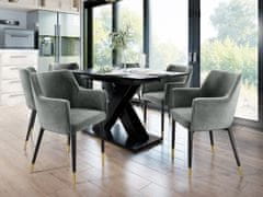 Veneti Čalouněná jídelní židle HAUMON - černá / zlatá / platinová