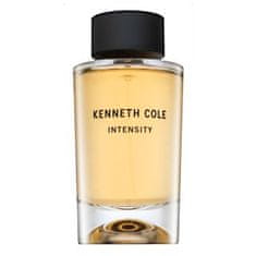 Kenneth Cole Intensity toaletní voda unisex 100 ml