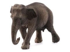 sarcia.eu Schleich Wild Life - Asijská slonice, figurka pro děti 3+ 