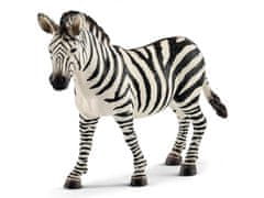 sarcia.eu Schleich Wild Life - Zebra, figurka pro děti 3+ 