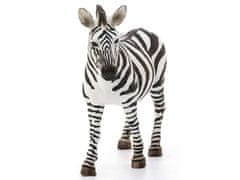 sarcia.eu Schleich Wild Life - Zebra, figurka pro děti 3+ 