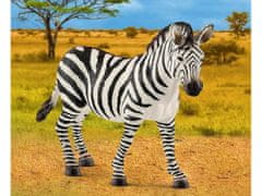 sarcia.eu Schleich Wild Life - Zebra, figurka pro děti 3+ 