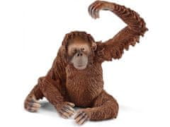 sarcia.eu Schleich Wild Life - Orangutaní samice, figurka pro děti 3+ 