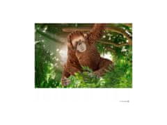 sarcia.eu Schleich Wild Life - Orangutaní samice, figurka pro děti 3+ 