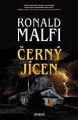 Ronald Malfi: Černý jícen