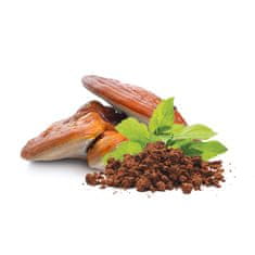 MycoMedica Reishi prášek BIO 100g, MYCOMEDICA