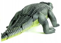 Lean-toys Dálkově Ovládaný Aligator R/C Chodí Velký Zelený