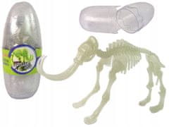 Lean-toys Svítící Ve Tmě Kostra 3D Dinosauři Mamut Ve Vejci