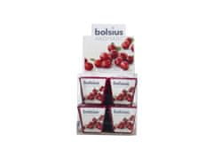 Bolsius Aromatic Votiv 48mm Wild Cranberry vonné svíčky