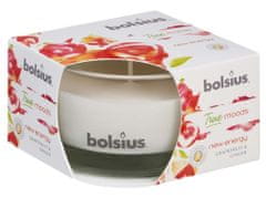 Bolsius Aromatic 2.0 Vonná svíčka ve skle, 80x50mm, New energy