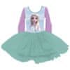 Taneční tutu šaty DISNEY FROZEN Elsa, WD14228 6 let (116cm)