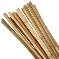 Zahradní tyč KBT 1050/12-14 mm, balení. 10 ks, bambus, opora pro rostliny