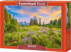 Castorland Puzzle Ranní květy 2000 dílků