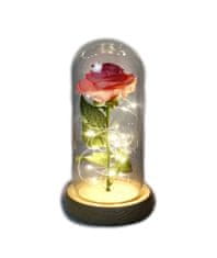 Medvídárek Svítící věčná růže ve skle - růžová