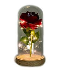 Medvídárek Svítící věčná růže ve skle - červená