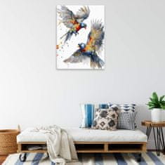 Malujsi Malování podle čísel - Barevní ptáci - 30x40 cm, bez dřevěného rámu
