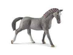 sarcia.eu Schleich Horse Club - Trakénský kůň, Trakénská klisna, figurka pro děti 3+ 