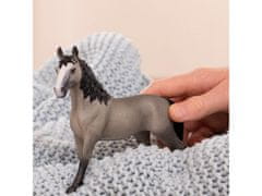 sarcia.eu Schleich Horse Club - Koňská klisna plemene Selle Francais, figurka pro děti 3+ 