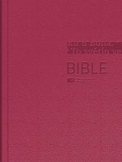 Bible - Český ekumenický překlad bez DT
