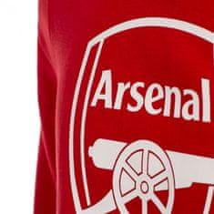 Fan-shop Dětská mikina ARSENAL FC No1 red Dětská: 10 let