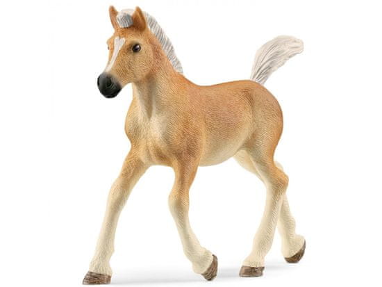 sarcia.eu Schleich Horse Club - Hafling hříbě, figurka pro děti 5+