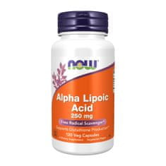 NOW Foods NOW Foods Alpha Lipoic Acid 120 kapslí BI7785