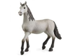 sarcia.eu Schleich Horse Club - Plemeno Pura Raza Espanola - Španělský mladý kůň, figurka pro děti 3+ 