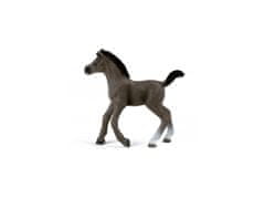 sarcia.eu Schleich Horse Club - hříbě Selle Francais, figurka pro děti 5+ 