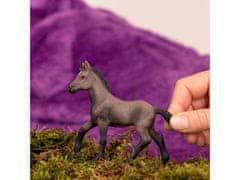 sarcia.eu Schleich Horse Club - peruánské hříbě Paso, figurka pro děti 5+ 