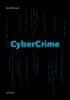 Jan Kolouch: CyberCrime