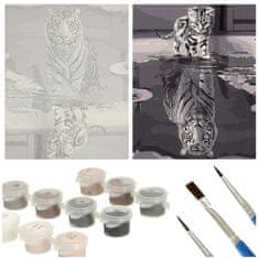 WOWO Malování podle čísel - Kočka a Tygr, Rozměry 50x40cm