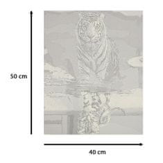 WOWO Malování podle čísel - Kočka a Tygr, Rozměry 50x40cm