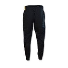 Nike Kalhoty Air Jordan Sport Dri-fitDH9073011