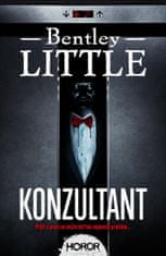 Konzultant - Bentley Little