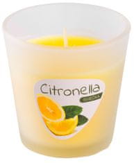 Citronelová svíčka CG144, repelent, skleněná dóza, 80 g, 80x70 mm