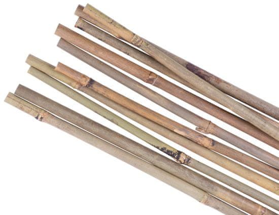 Zahradní tyč KBT 1500/16-18 mm, balení. 10 ks, bambus, opora pro rostliny