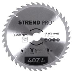 Strend Pro TCT 250x3,0x30/20 mm 40T, pilový kotouč na dřevo, SK plátky