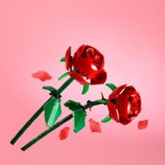 40460 Růže