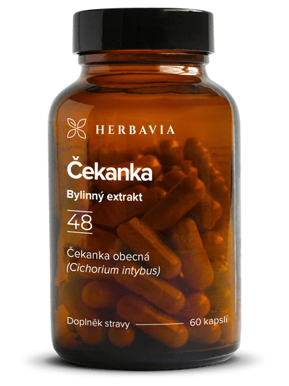 Herbavia Čekanka, 60 kapslí