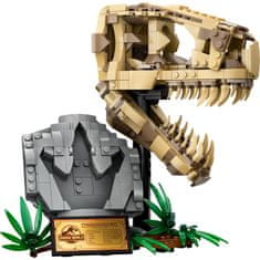 LEGO Jurassic World 76964 Dinosauří fosilie: Lebka T-rexe